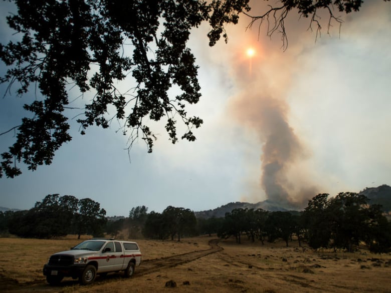 A column of smoke rises from the Wragg fire near Winters, Calif., on Thursday, July 23, 2015. 